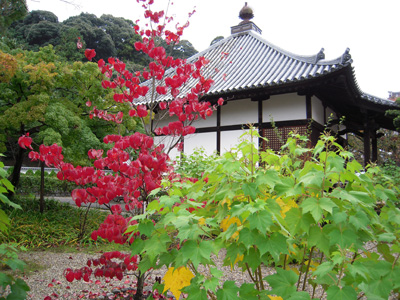 奈良、明日香の橘寺