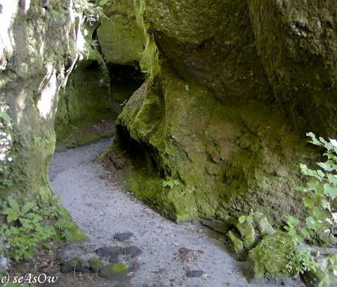 苔の洞門入り口
