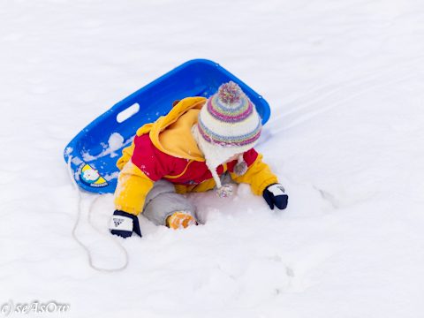 雪遊びの子供