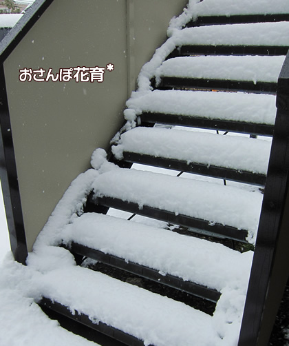 階段も雪もりもり