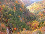紅葉と大滝