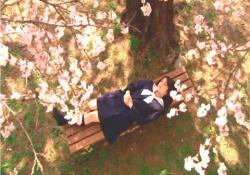 授業サボって、桜の木の下で居眠りしている桃