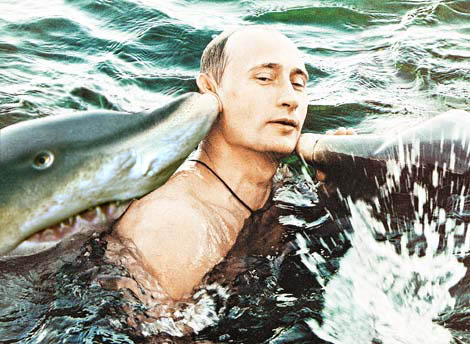 サメとたわむれるプーチン