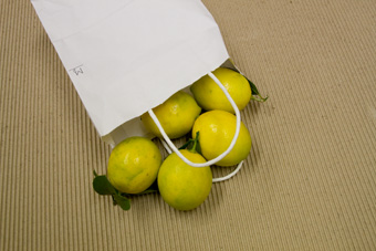 081201-lemon001.jpg