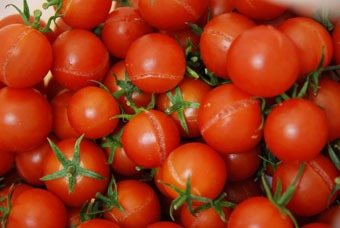 090202-tomato.jpg
