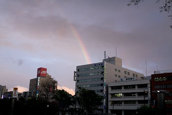 090414-rainbow04.jpg