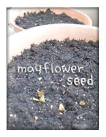 mayflowerseed