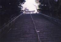 愛宕山の男坂。講談の出世の階段として有名。