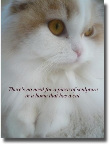 Theres no need for a piece of sculpture in a home that has a cat