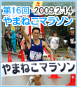 第16回竹富町やまねこマラソン・2009．2．14