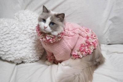 瑠璃色の瞳と翠色の瞳 ～Dolly＆Abbie 猫物語～ひと目惚れの可愛いセーター♪