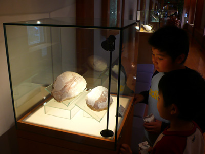 石の博物館1