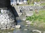 日本一短い「ぶつぶつ川」