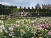 ベルサイユ　庭園.と花