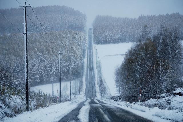 雪のジェットコースターの路