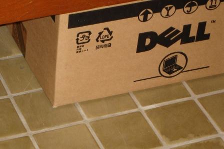 Dell box girl