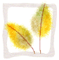 leaf0341.gif