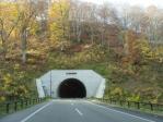 紅葉の中のトンネル