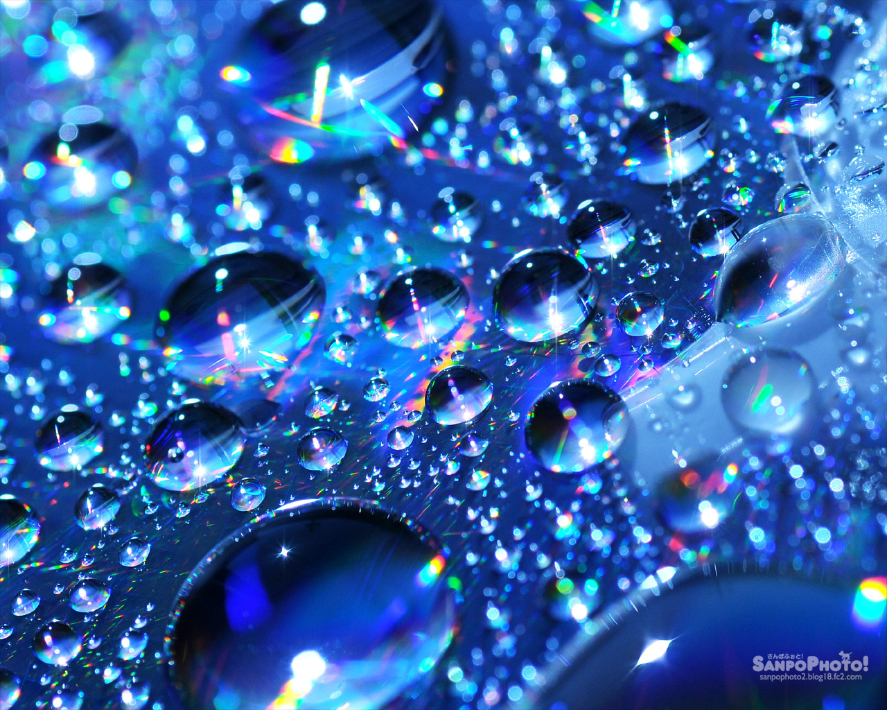 さんぽふぉと Sanpophoto 無料壁紙 水滴の輝き