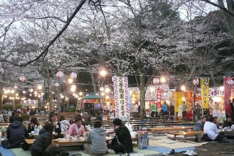 桜山での夜桜見物