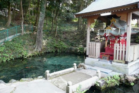 泉神社裏手の泉が森