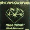 tara schaft-new york city dream