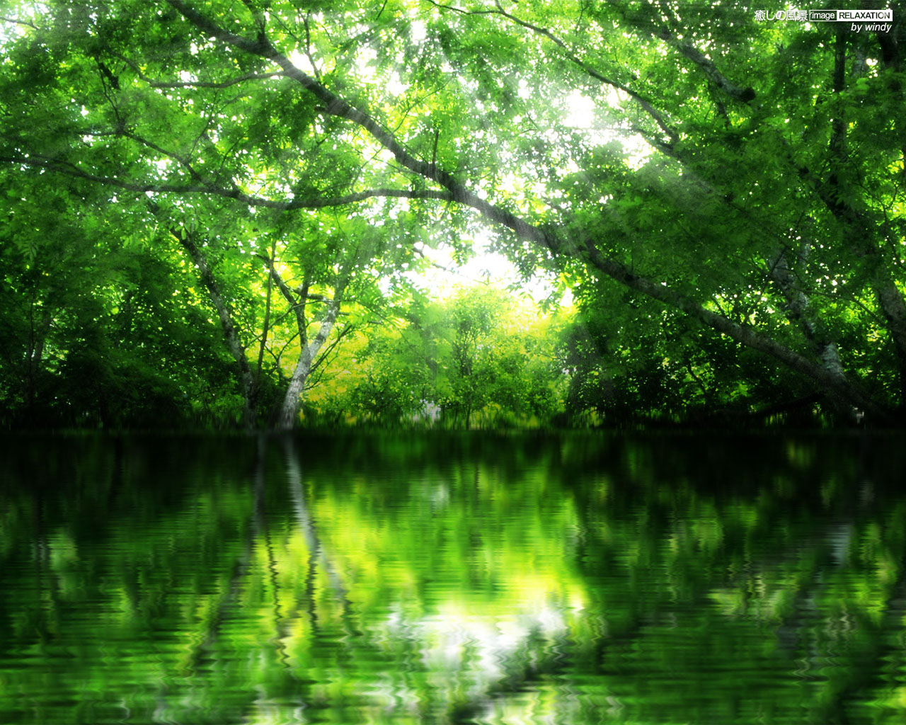 緑の潤い 癒しの風景 Image Relaxation 癒し壁紙