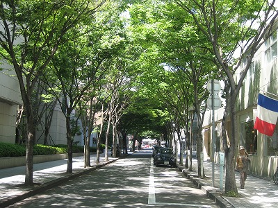 2008神戸居留地