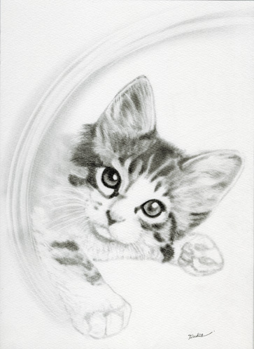 イラストレーター☆くるみ るか 猫の鉛筆画