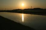水田の夕陽