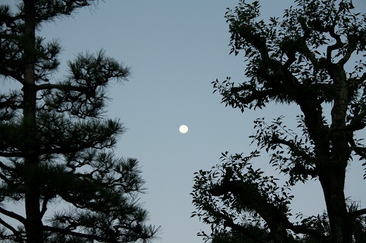 朝空の月