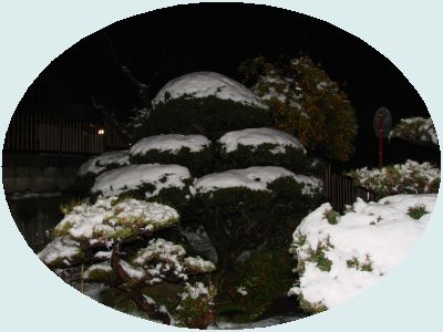 夜の雪景色１